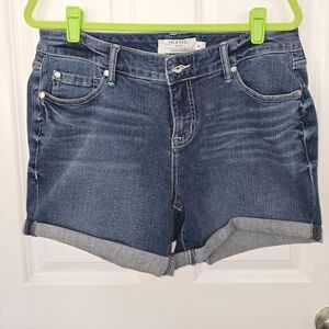 Torrid Denim Blue Jeans